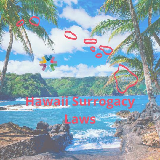 Hawaii Surrogacy Laws