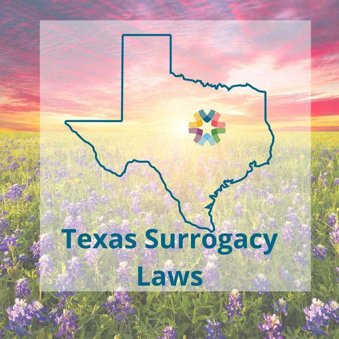 Texas Surrogacy Laws