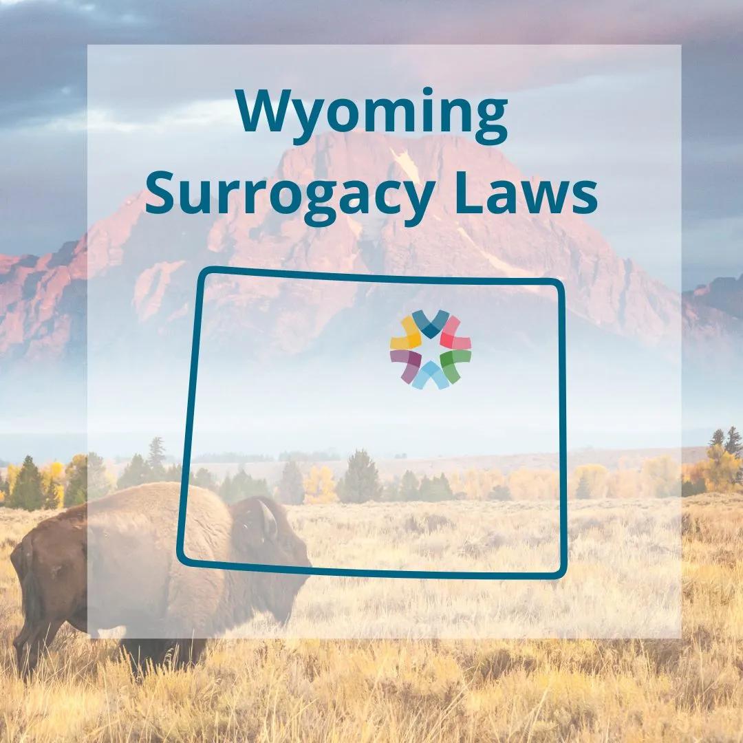 Surrogacy in Wyoming