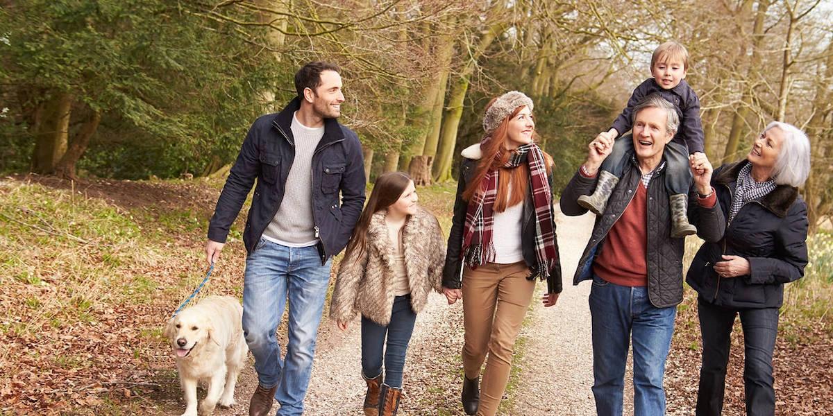 Picture of a family walking, siblings, grandparents, parents and a dog