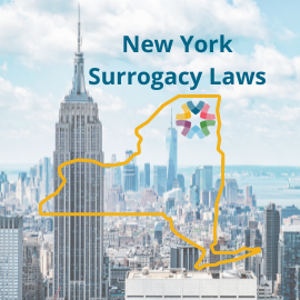 ConceiveAbilities - New York Surrogacy Laws